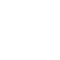 PDF-Download white